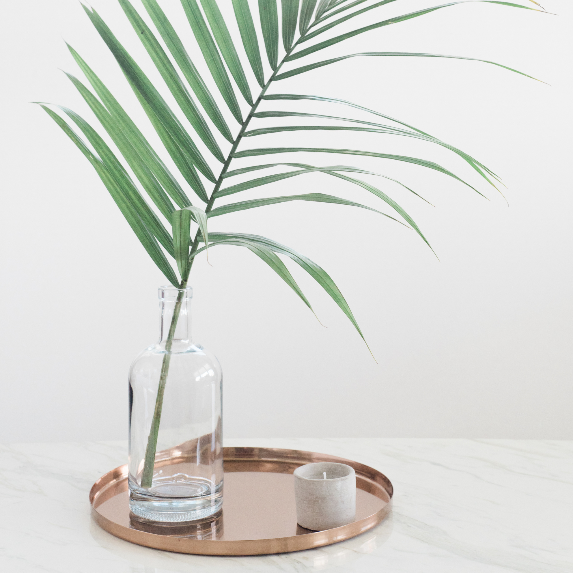 Palm Leaf in a Glass Vase